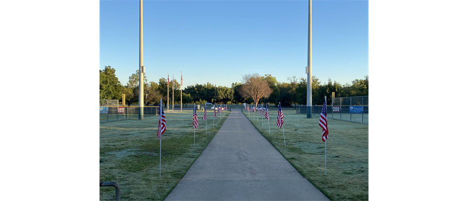 Pink Out Flags