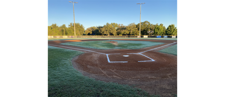Early Morning Baseball!!